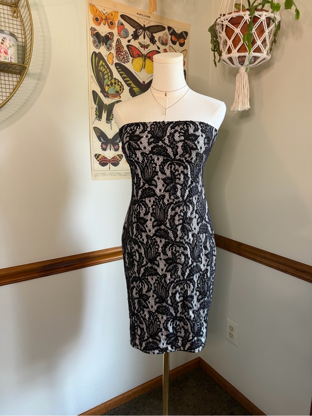 Cache Strapless Black Lace Overlay Dress with Light Lining